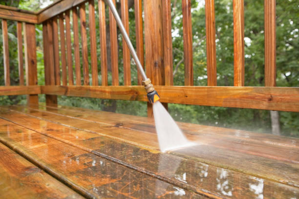 Trusted Rogersville, AL Pressure Washing Experts